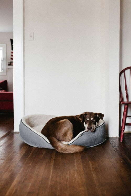 Cozy Dogs
